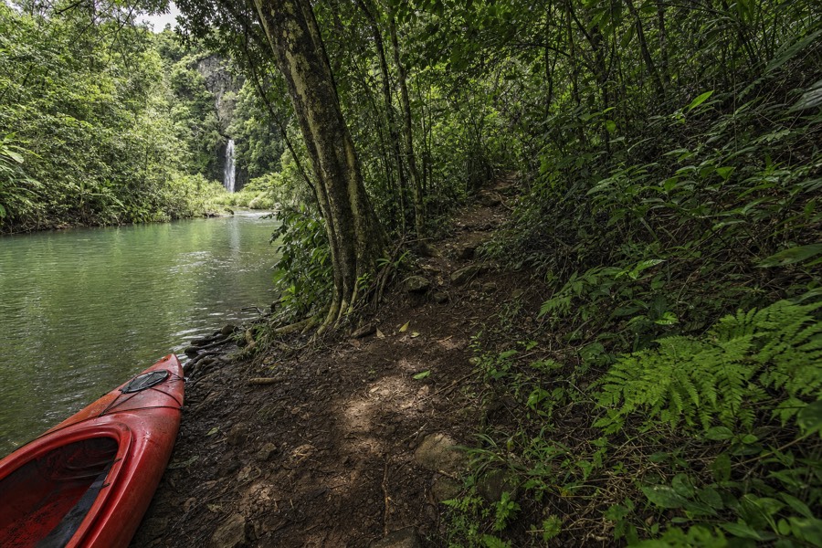 A red kayak on a jungle riverbank on the Wailua River, Kauai, with a trail toward a waterfall