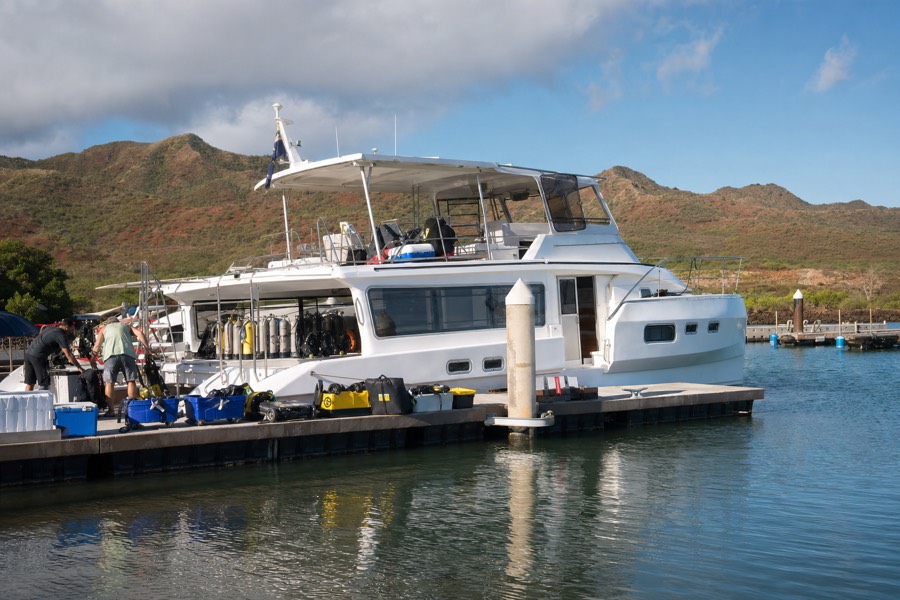 A catamaran docked at Port Allen harbor on Kauai, morning light, ready for a Na Pali snorkel cruise