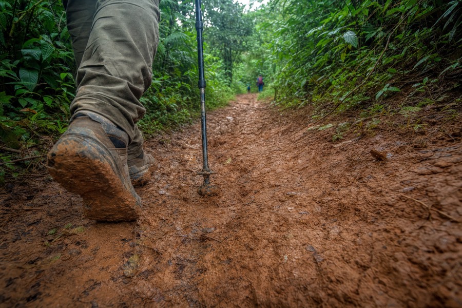 Hiker's boots and a trekking pole on a muddy red-dirt section of the Kalalau Trail near Hanakapi'ai