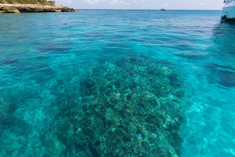 Snorkeler's view of clear turquoise water off the Na Pali Coast during a calm-season boat stop