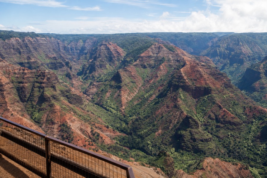 View from the main Waimea Canyon Lookout showing red and green canyon walls in morning light